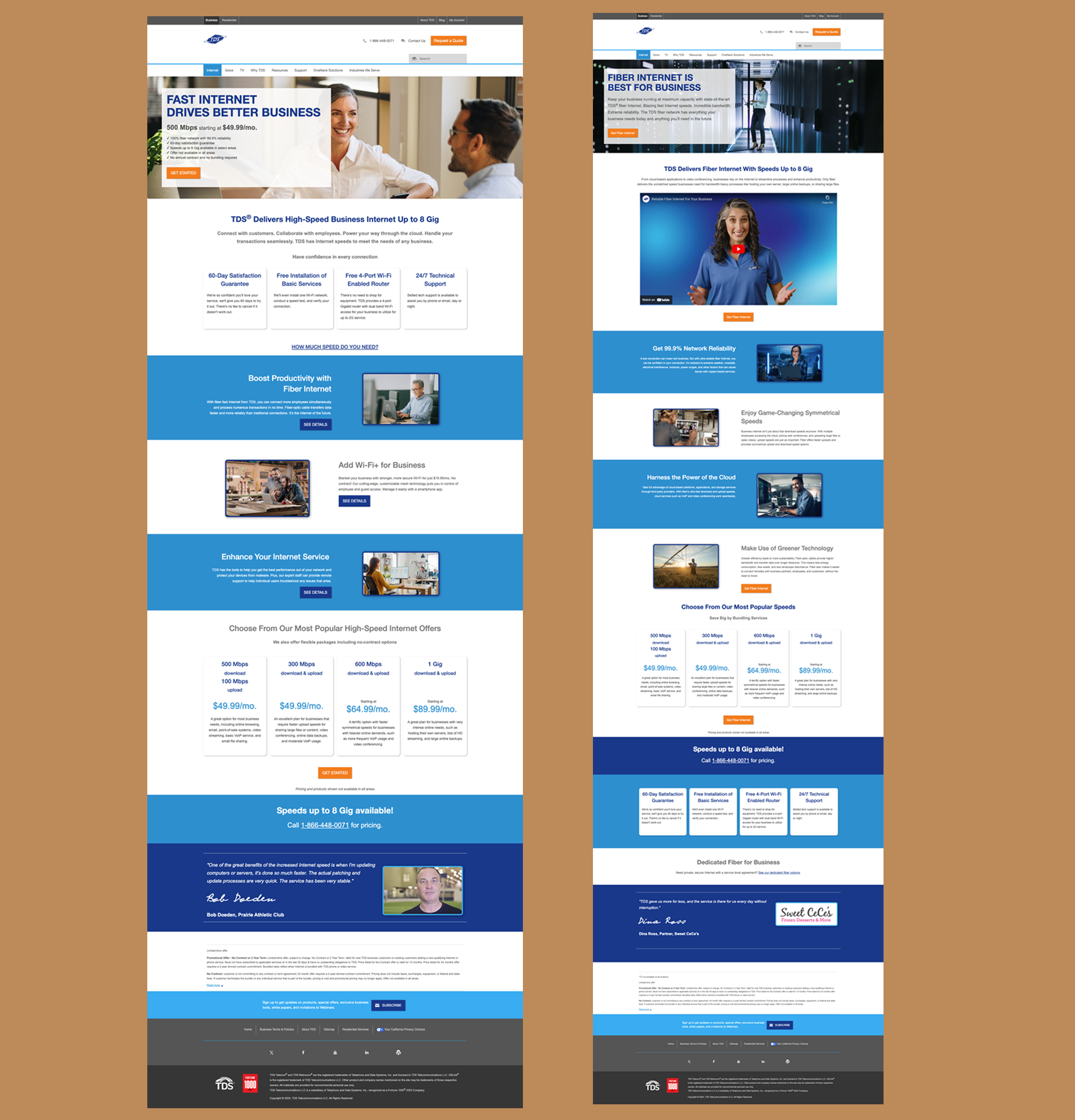 Screenshots of the Internet Homepage and Fiber Internet Page on TDS Business